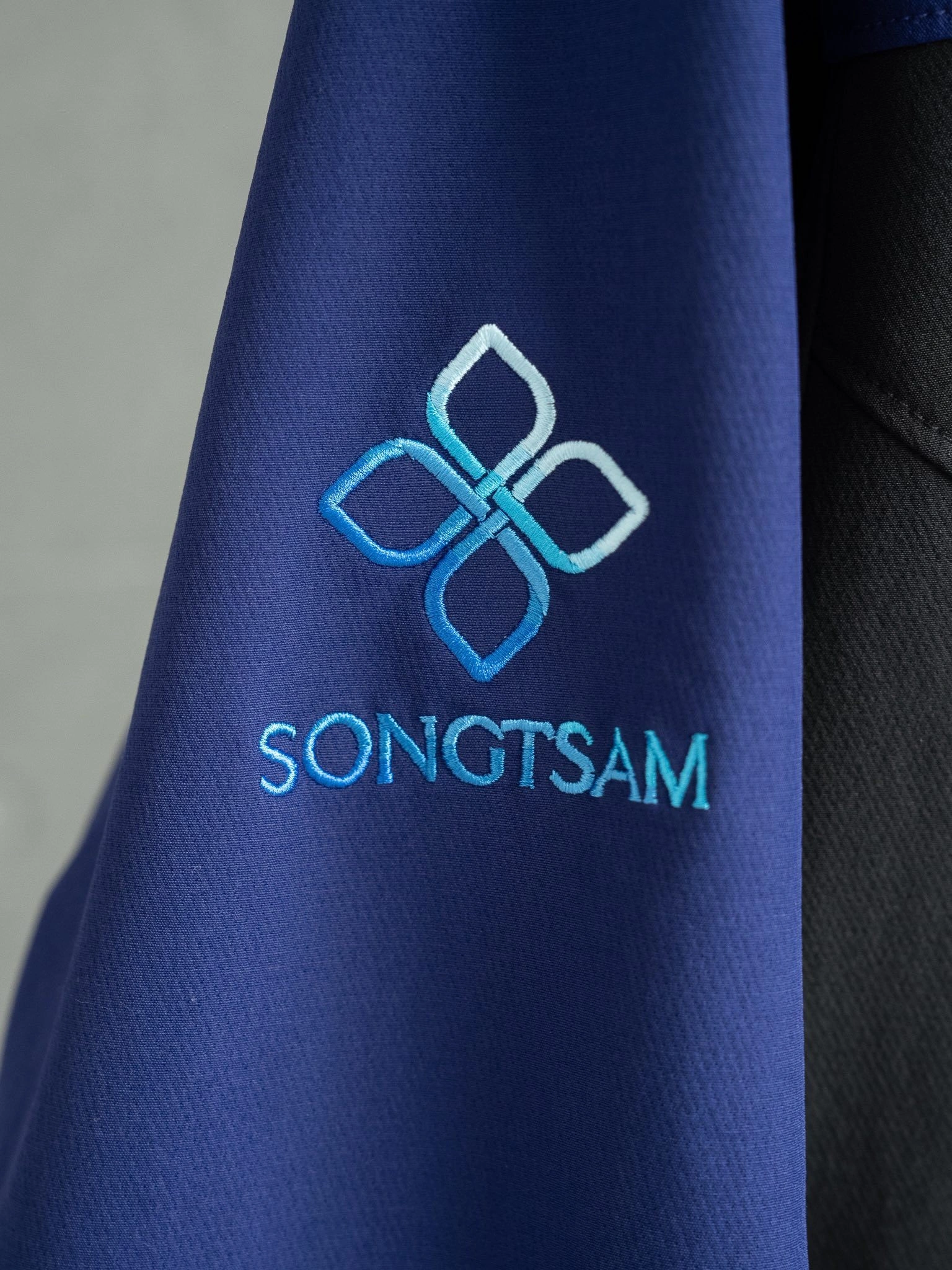 wg.luxury- 1r3t5ryx GAMMA 3.0 SONGTSAM HOODY embroidery item:E-F524I1934